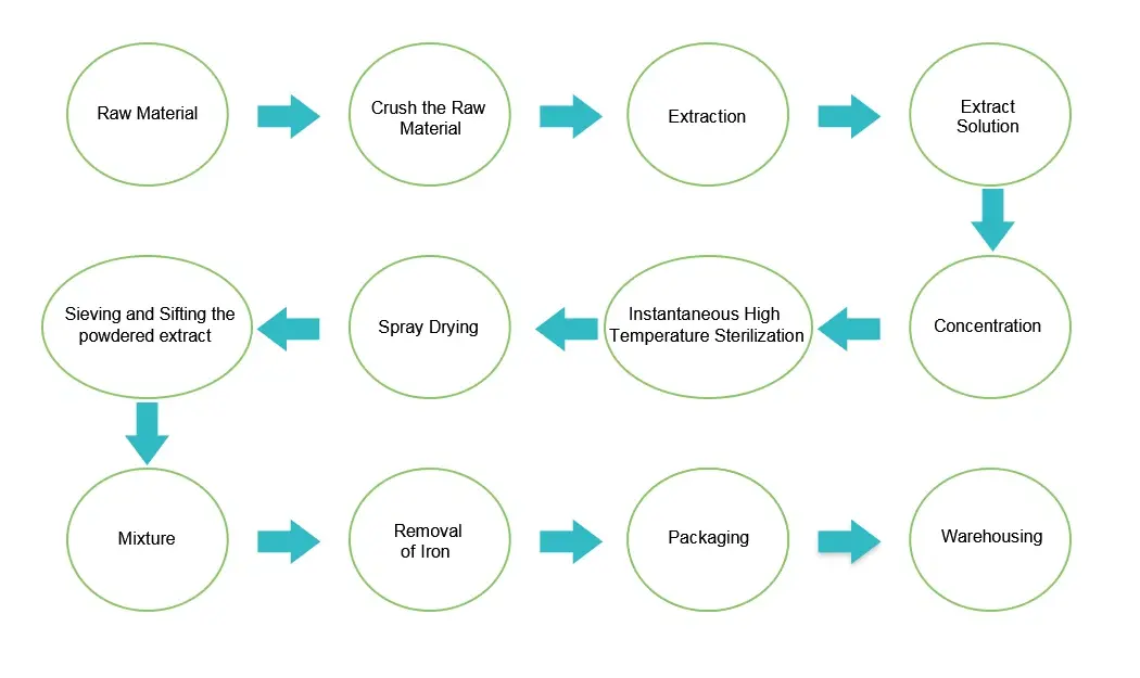 St John's Wort Extract Powder Flow Chart.webp